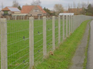 Betonnen weidepaal met Ursus